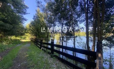 Sitio en Venta en Lago Ranco Calcurrupe