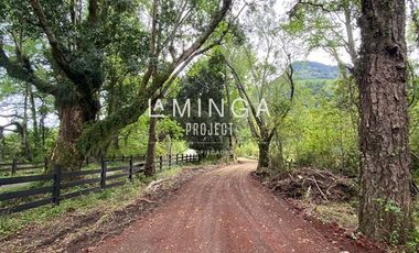 Sitio en Venta en Lago Ranco Calcurrupe