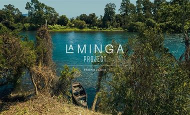 Sitio en Venta en Lago Ranco Calcurrupe