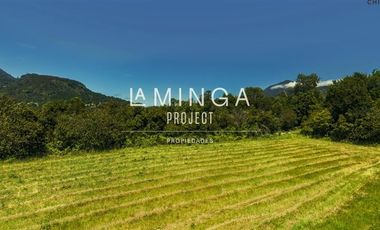 Sitio en Venta en Lago Ranco Calcurrupe