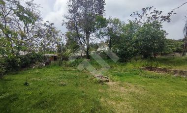 Sitio en Venta en Av. Central/ Lo cañas