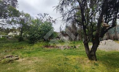 Sitio en Venta en Av. Central/ Lo cañas