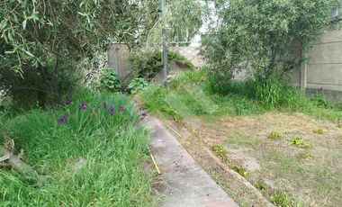 Casa en Venta en Cabildo/Pedro Mira