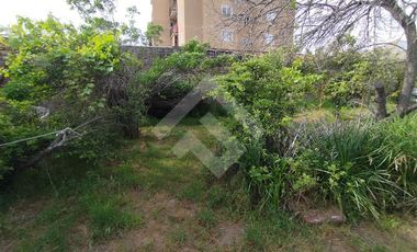 Casa en Venta en Cabildo/Pedro Mira