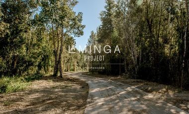 Parcela en Venta en Paraguay Chico