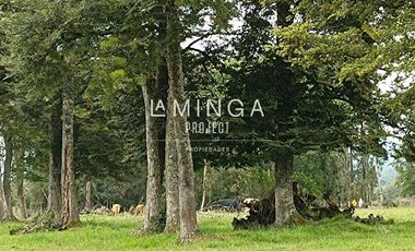 Sitio en Venta en Parque Peumayen