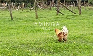 Sitio en Venta en Parque Peumayen