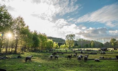 Parcela en Venta en Paraguay Chico Rio Maullin