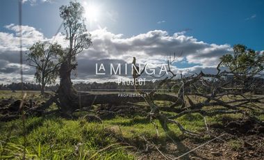 Parcela en Venta en Paraguay Chico Rio Maullin