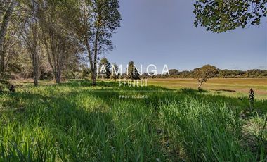 Sitio en Venta en Paraguay Chico