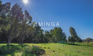 Sitio en Venta en Paraguay Chico