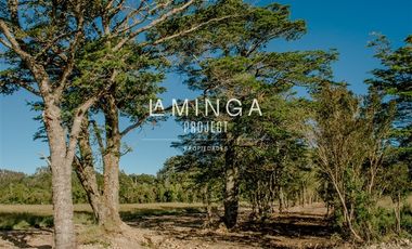 Sitio en Venta en Paraguay Chico