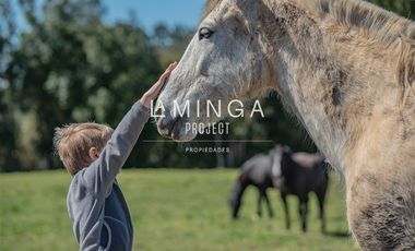 Sitio en Venta en Paraguay Chico