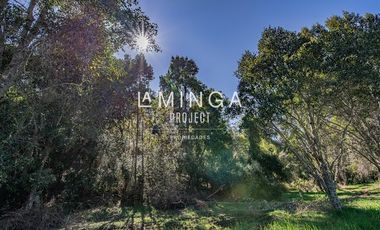 Sitio en Venta en Paraguay Chico