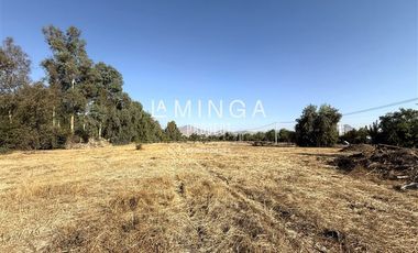 Sitio en Arriendo en Piedra Roja