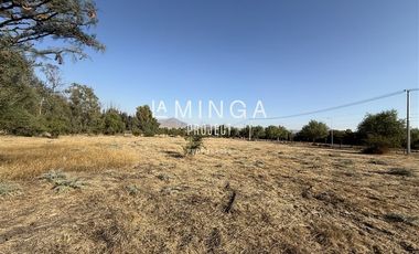 Sitio en Arriendo en Piedra Roja