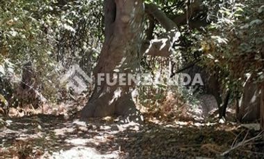 Sitio en Venta en Las Perdices/San Joaquín