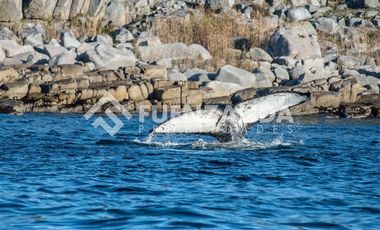 Terreno Construccion  en Venta en Sector Huiro, Corral, Valdivia