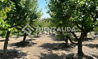 Parcela en Venta en Diego Portales / Canal de la luz