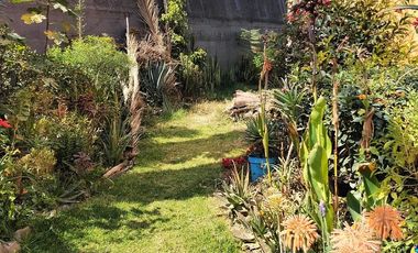 Amplio y remodelado departamento en renta col. Arenal.