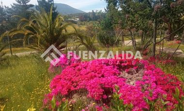 Parcela en Venta en camino Las Tinajas / El Queule