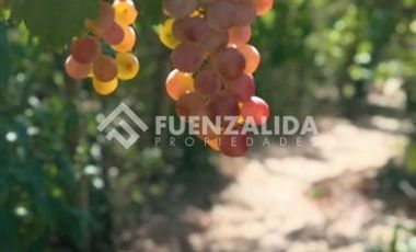 Parcela en Venta en camino Las Tinajas / El Queule