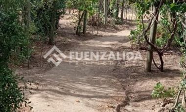 Parcela en Venta en camino Las Tinajas / El Queule