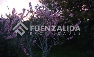 Parcela en Venta en camino Las Tinajas / El Queule