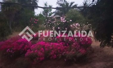 Parcela en Venta en camino Las Tinajas / El Queule