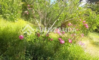 Parcela en Venta en camino Las Tinajas / El Queule