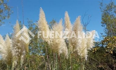 Parcela en Venta en camino Las Tinajas / El Queule