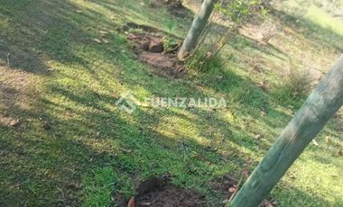 Parcela en Venta en camino Las Tinajas / El Queule