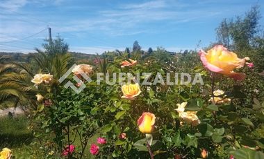 Parcela en Venta en camino Las Tinajas / El Queule