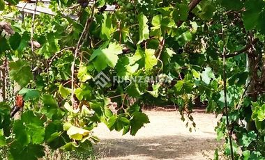 Parcela en Venta en camino Las Tinajas / El Queule