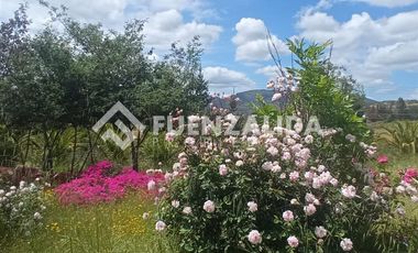 Parcela en Venta en camino Las Tinajas / El Queule