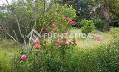 Parcela en Venta en camino Las Tinajas / El Queule