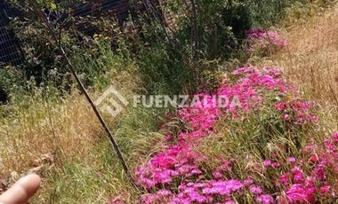 Parcela en Venta en camino Las Tinajas / El Queule