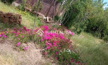 Parcela en Venta en camino Las Tinajas / El Queule