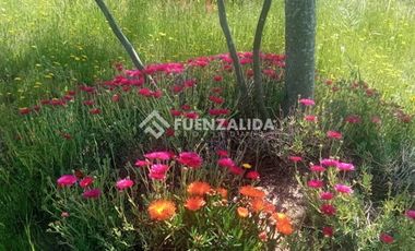 Parcela en Venta en camino Las Tinajas / El Queule