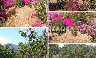 Parcela en Venta en camino Las Tinajas / El Queule