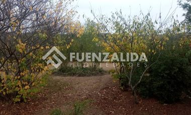 Parcela en Venta en camino Las Tinajas / El Queule