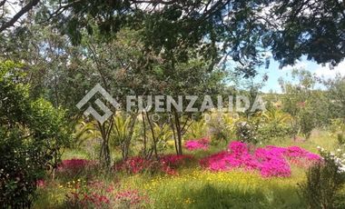 Parcela en Venta en camino Las Tinajas / El Queule