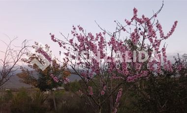 Parcela en Venta en camino Las Tinajas / El Queule