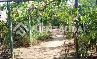 Parcela en Venta en camino Las Tinajas / El Queule