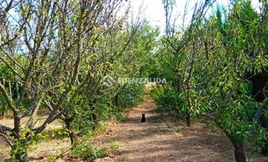 Parcela en Venta en camino Las Tinajas / El Queule