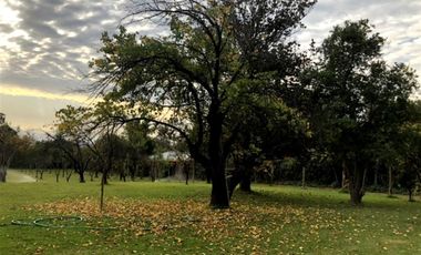 Sitio en Venta en Olga Salas / San Joaquín