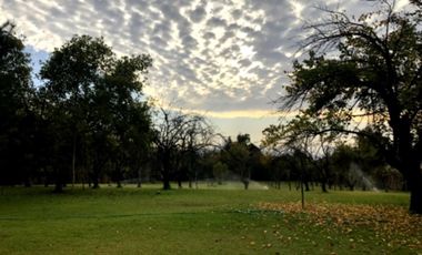 Sitio en Venta en Olga Salas / San Joaquín