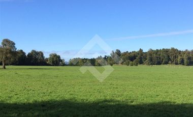 Parcela en Venta en Lago Puyehue-Mantilhue