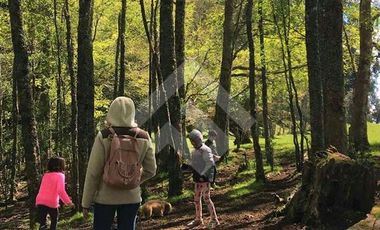 Parcela en Venta en Lago Puyehue-Mantilhue