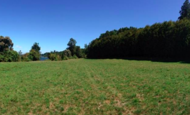 Parcela en Venta en Lago Puyehue-Mantilhue